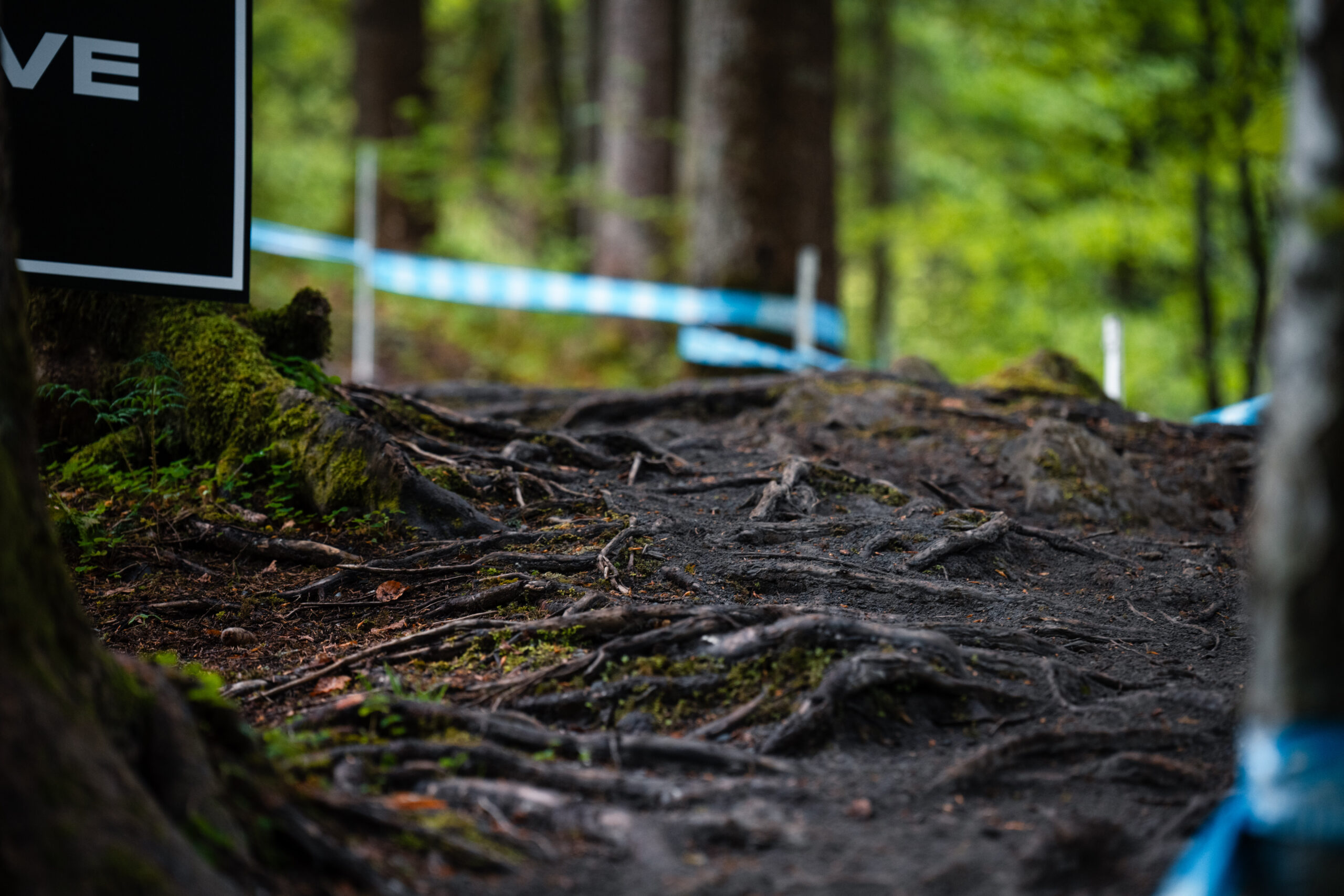 Seraina Leugger, Mountainbike, Crosscountry